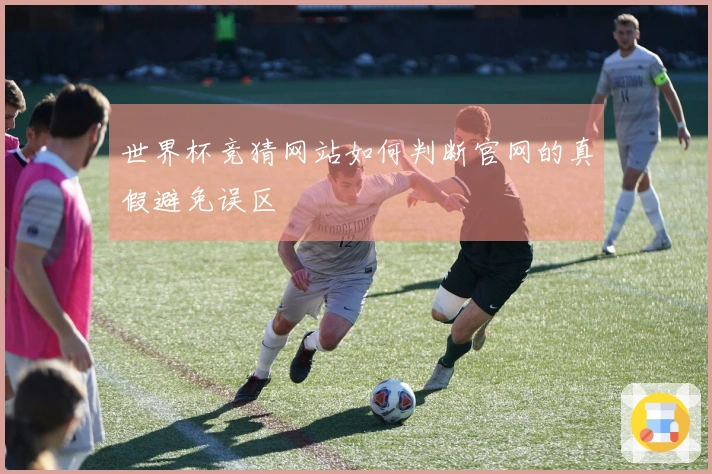 世界杯竞猜网站如何判断官网的真假避免误区