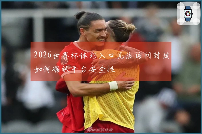 2026世界杯体彩入口无法访问时该如何确认平台安全性